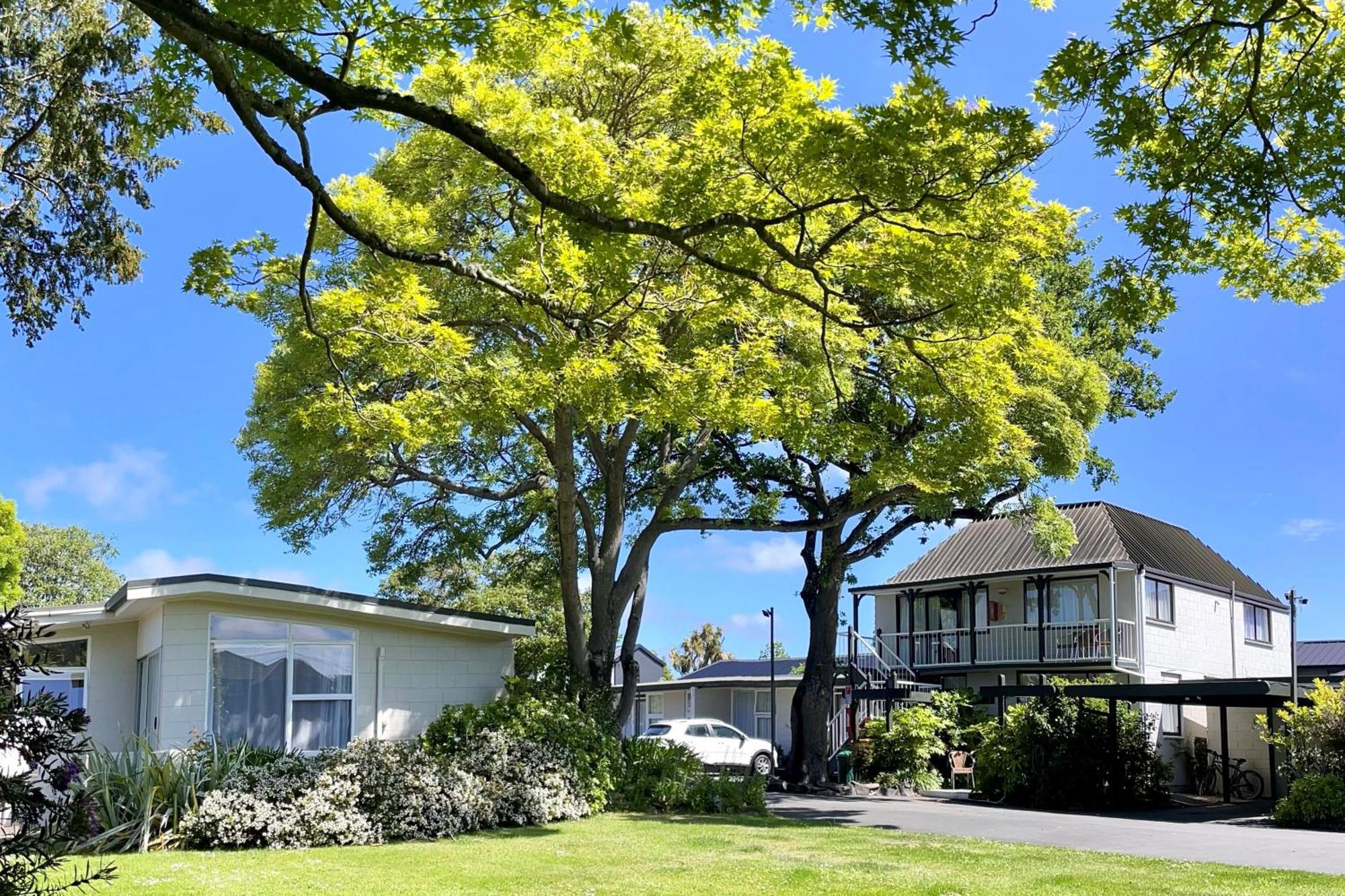 Ashleigh Court Motel